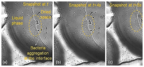 https://adgeo.copernicus.org/articles/65/181/2025/adgeo-65-181-2025-f04